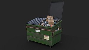 Overfilled Garbage Dumpster
