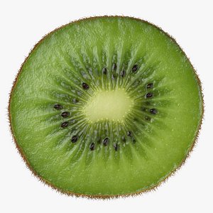 Kiwi Slice 3D model