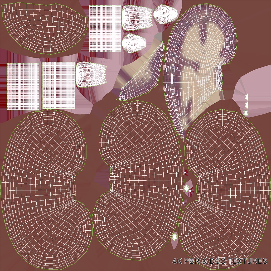 3D anatomy female urinary tract https://p.turbosquid.com/ts-thumb/Yi/ragsKY/62sa1tCW/uvw2/png/1523881865/1920x1080/fit_q87/d3e3ce660514fdf37b20d984ed2b292dd178756b/uvw2.jpg