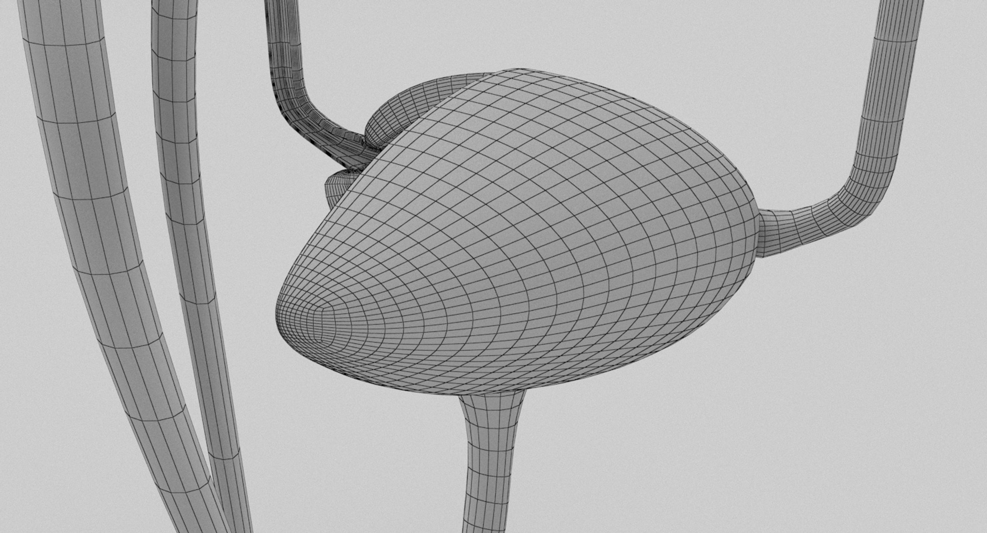 3D anatomy female urinary tract https://p.turbosquid.com/ts-thumb/Yi/ragsKY/jDaOQuxy/kidney_turntable1_wire/jpg/1523881774/1920x1080/turn_fit_q99/f407a0c8e82f2479b88b839baa50de8a40098fb7/kidney_turntable1_wire-1.jpg