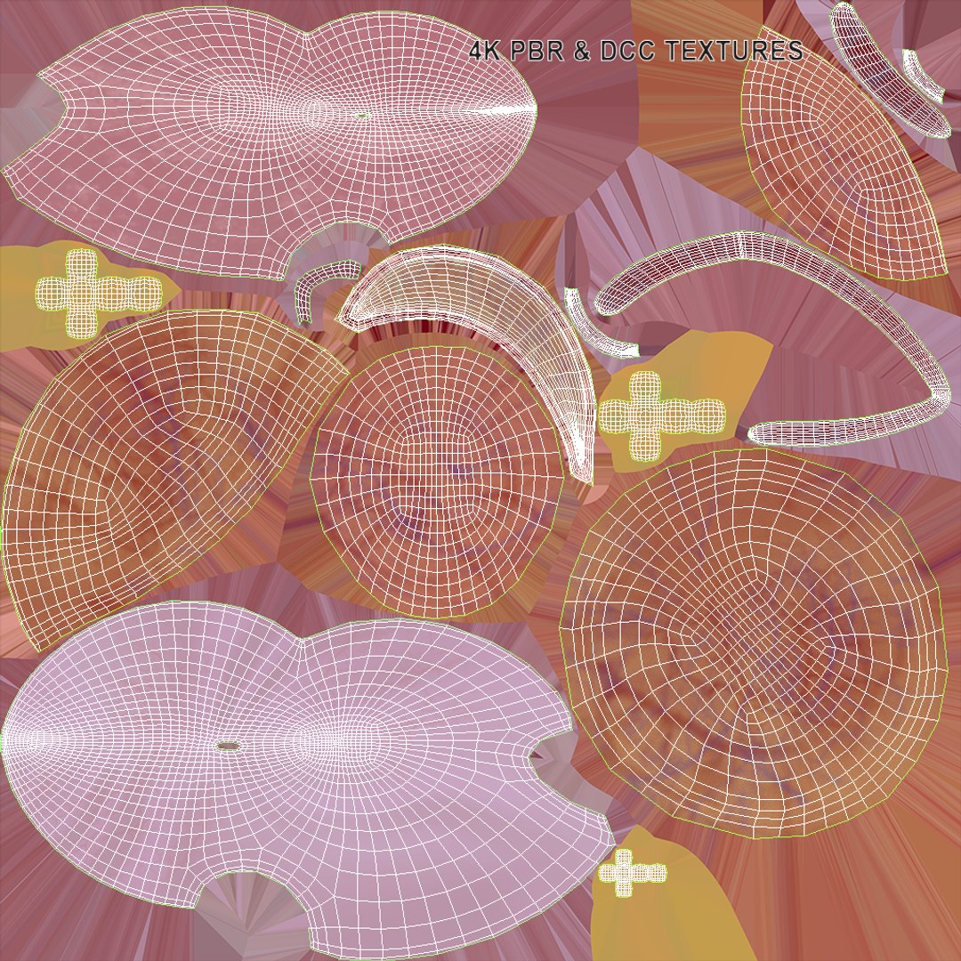 3D anatomy female urinary tract https://p.turbosquid.com/ts-thumb/Yi/ragsKY/wCb2zhr0/uwv1/png/1523881865/1920x1080/fit_q87/feb5683626c5dec01a8845454e7bef02dedeec39/uwv1.jpg