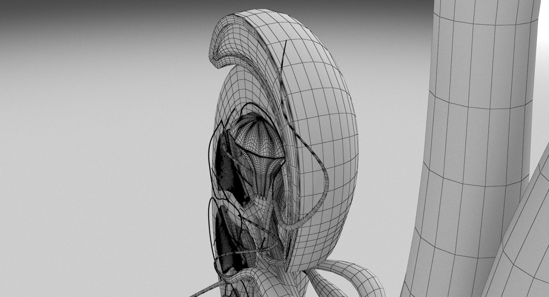 3D anatomy female urinary tract https://p.turbosquid.com/ts-thumb/Yi/ragsKY/yuCgPGhe/kidney_renderings_wire_0006/jpg/1523881614/1920x1080/fit_q87/bdc1c411f1784894f0dddb801fd396fbc79198df/kidney_renderings_wire_0006.jpg