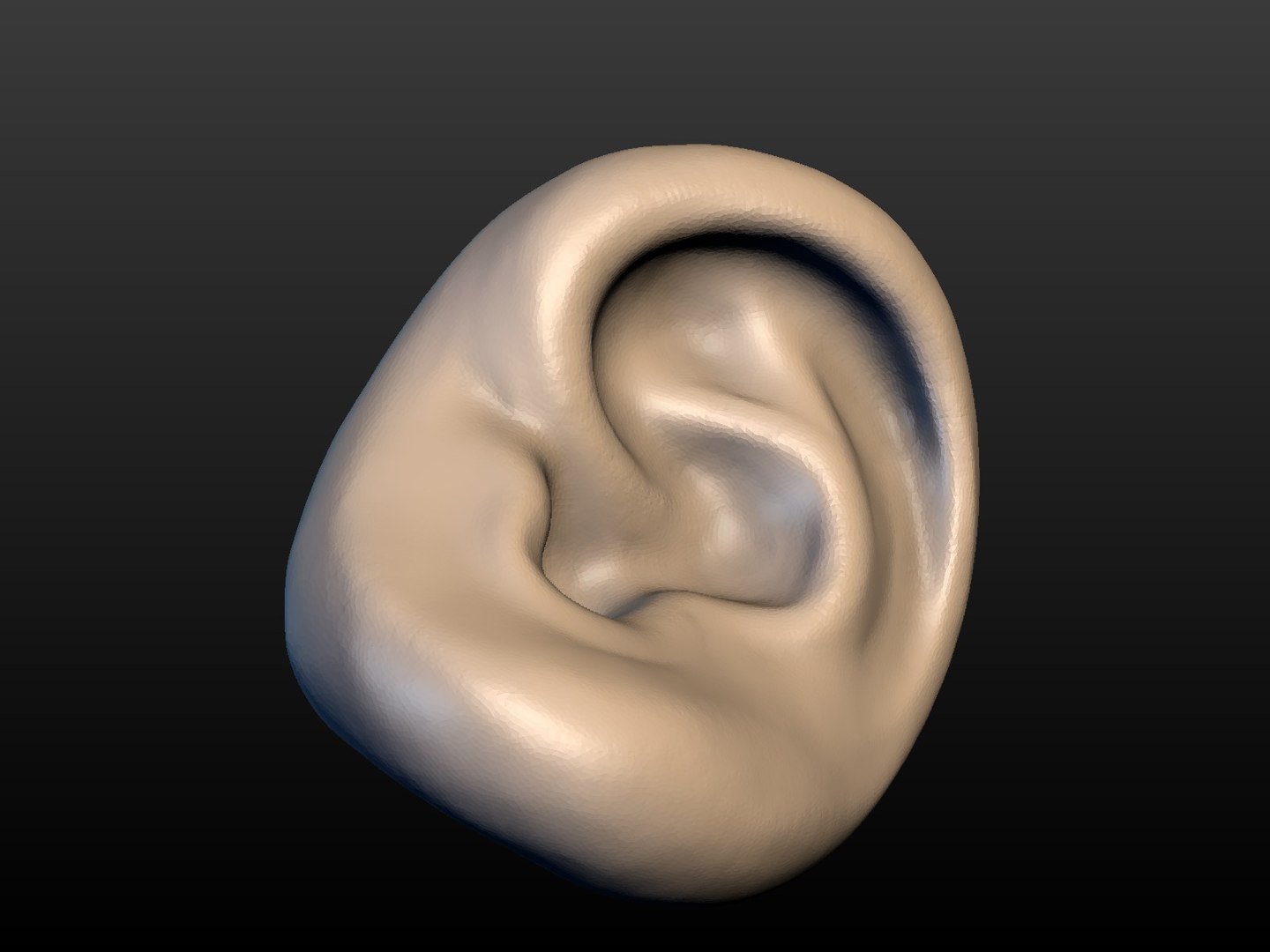 Ear 3D - TurboSquid 1281139