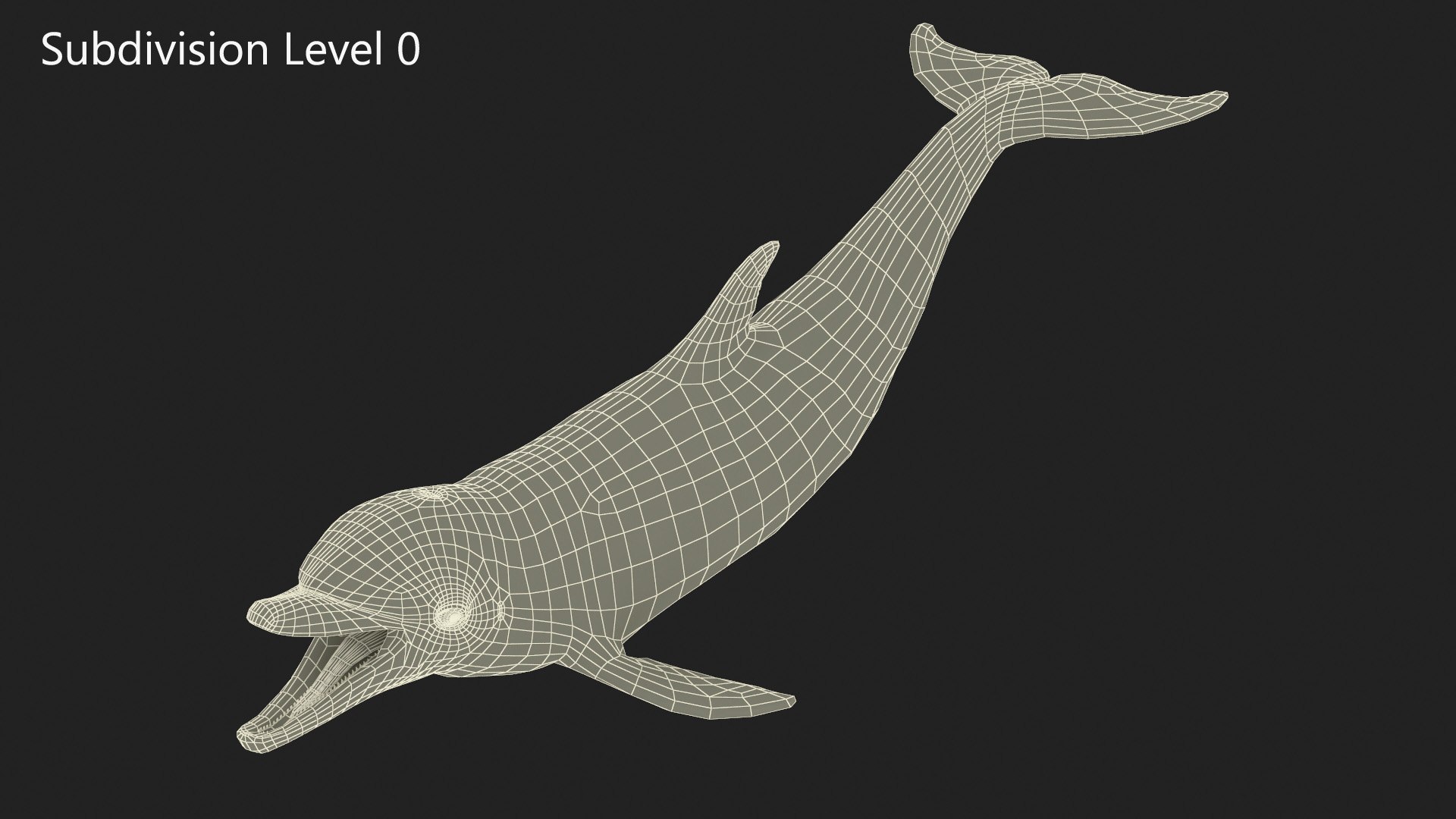 Common Bottlenose Dolphin 3D https://p.turbosquid.com/ts-thumb/Yj/HSOKg8/4W/commonbottlenosedolphin3dsmodel014/jpg/1722520093/1920x1080/fit_q87/5f73dae00010c7f1cb77e900afe46f4bcbd84061/commonbottlenosedolphin3dsmodel014.jpg