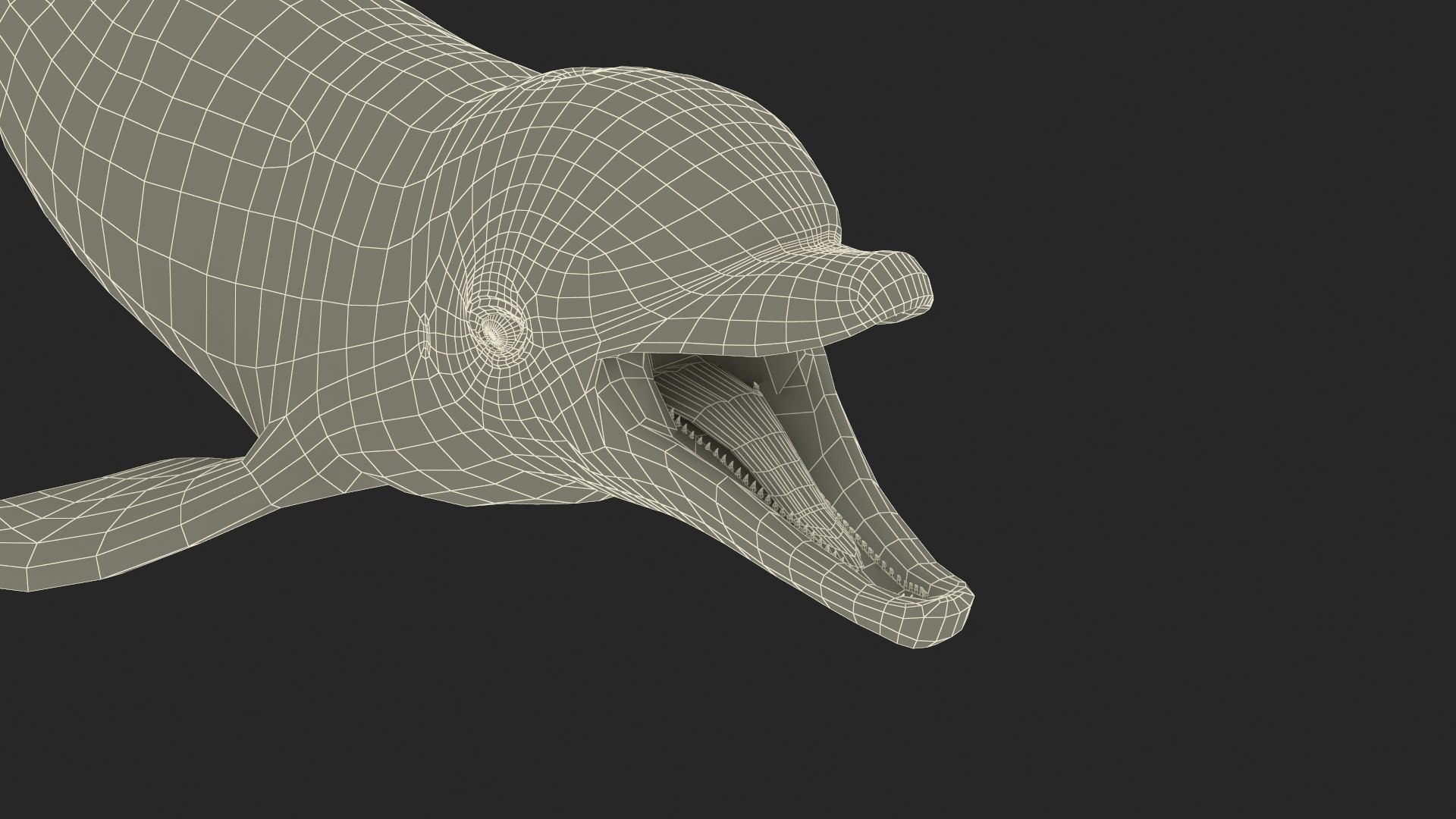 Common Bottlenose Dolphin 3D https://p.turbosquid.com/ts-thumb/Yj/HSOKg8/84/commonbottlenosedolphin3dsmodel020/jpg/1722520136/1920x1080/fit_q87/a1b9fda30a38173c6794508da958e66fb94b0ea7/commonbottlenosedolphin3dsmodel020.jpg