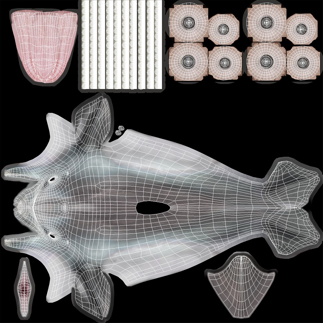 Common Bottlenose Dolphin 3D https://p.turbosquid.com/ts-thumb/Yj/HSOKg8/Np/commonbottlenosedolphin3dsmodel016/jpg/1722520105/1920x1080/fit_q87/2d03e2b20f0d19fe4418a92bbfdf27802b28f1c5/commonbottlenosedolphin3dsmodel016.jpg