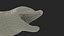 Common Bottlenose Dolphin