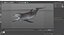 Common Bottlenose Dolphin
