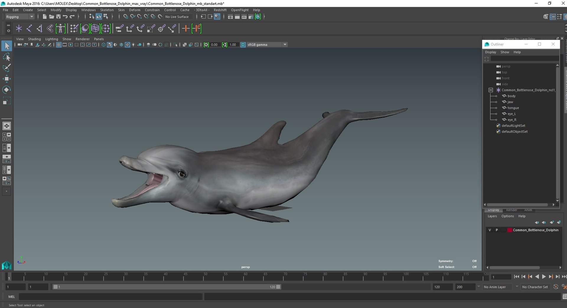 Common Bottlenose Dolphin 3D https://p.turbosquid.com/ts-thumb/Yj/HSOKg8/el/commonbottlenosedolphin3dsmodel029/jpg/1722520192/1920x1080/fit_q87/740909f9808762b763a77f743967b9eb14698267/commonbottlenosedolphin3dsmodel029.jpg