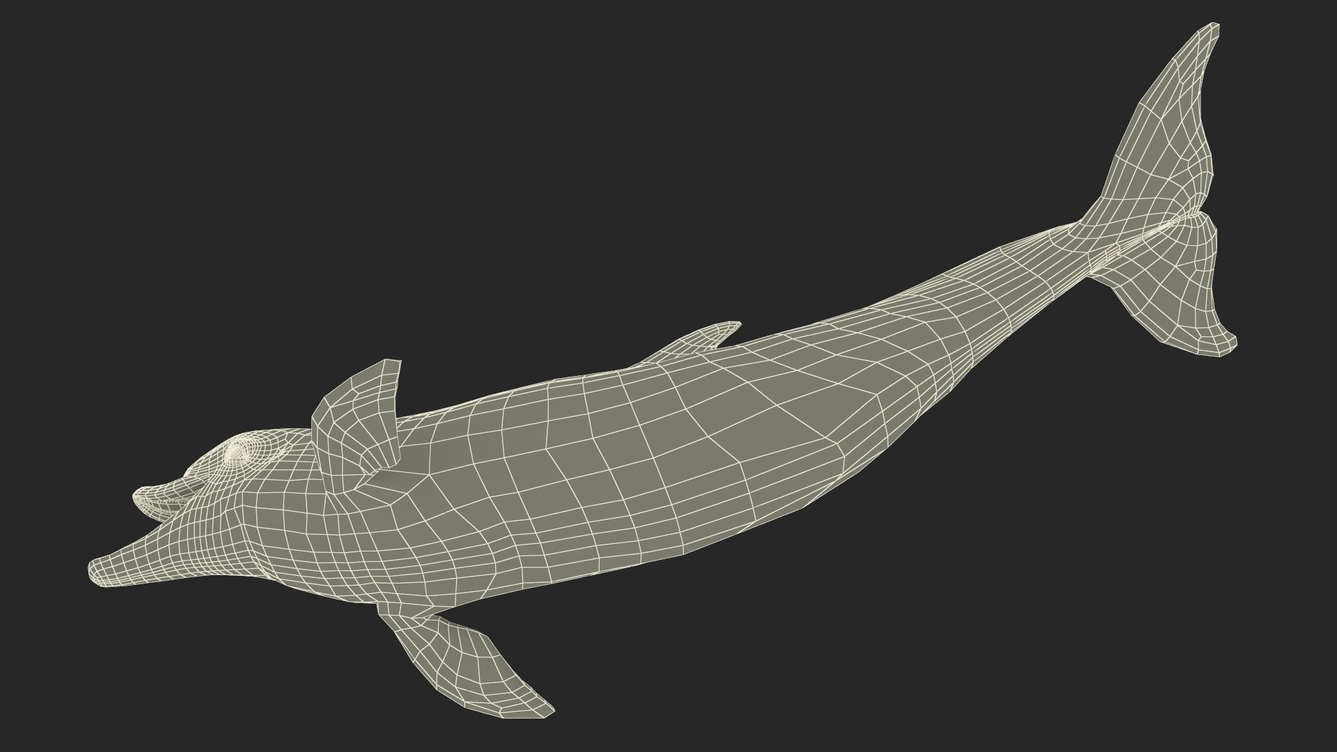 Common Bottlenose Dolphin 3D https://p.turbosquid.com/ts-thumb/Yj/HSOKg8/mX/commonbottlenosedolphin3dsmodel025/jpg/1722520169/1920x1080/fit_q87/ae8ca4d2cbf164100e5b97d5be7780eea4d1170c/commonbottlenosedolphin3dsmodel025.jpg