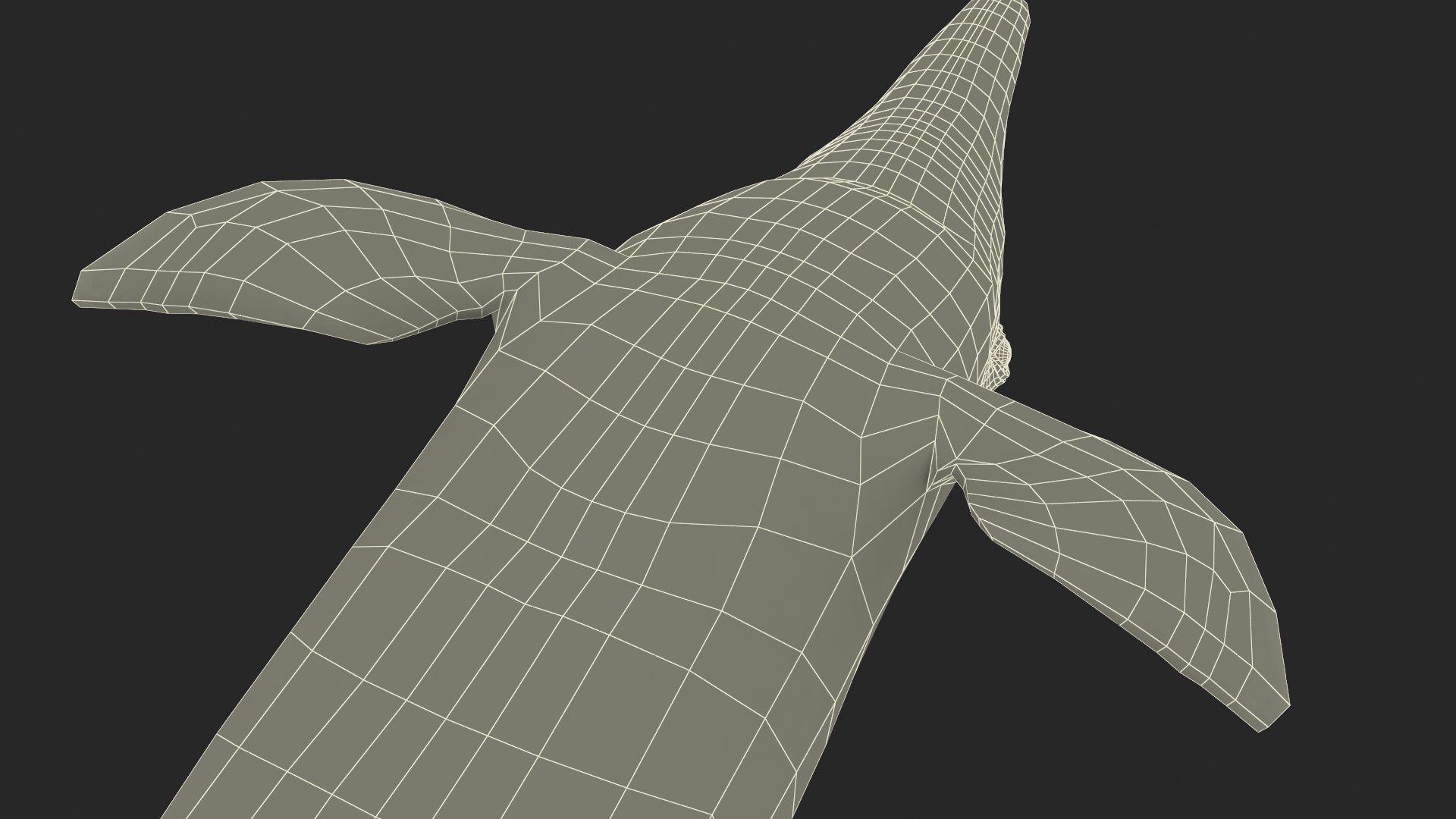 Common Bottlenose Dolphin 3D https://p.turbosquid.com/ts-thumb/Yj/HSOKg8/nL/commonbottlenosedolphin3dsmodel023/jpg/1722520157/1920x1080/fit_q87/1dd54f898ff195f1ec2d6a473c8c85ef2e806422/commonbottlenosedolphin3dsmodel023.jpg