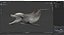 Common Bottlenose Dolphin