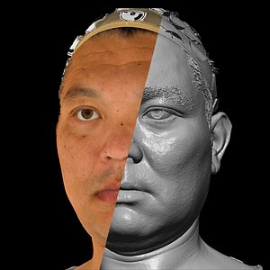 Asian Male 40s head scan 021