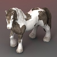 Tinker Stallion Textured