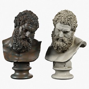 Hercules Bust(1)