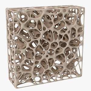 3D Rectangular Bone Matrix