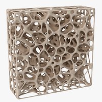 Rectangular Bone Matrix