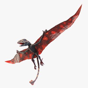 Peteinosaurus Animated