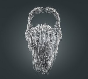 Beard RealTime 16 Version 1 3D