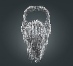 Beard RealTime 16 Version 1