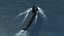 Type091 Han SSN Submarine