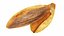 Breads and Baking Tools Collection