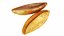 Breads and Baking Tools Collection