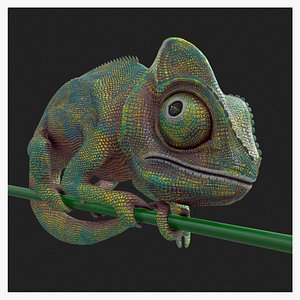 3D M0008 Z-Brush 3d Model Chameleon model