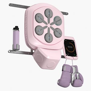 Wall Boxing Trainer Set with Gloves and Water Bottle Pink