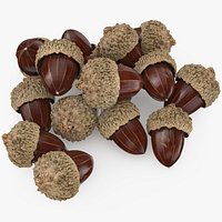 Acorn Pile