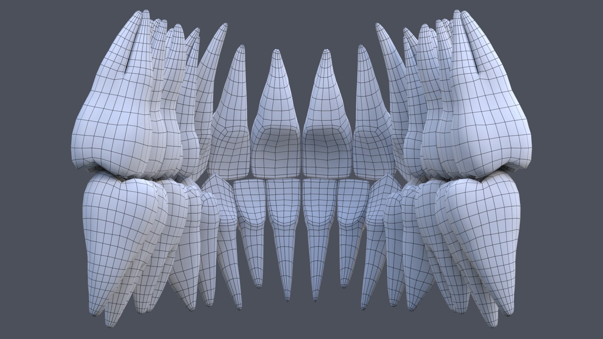 3D teeth anatomy mouth - TurboSquid 1622555