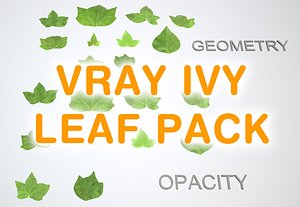 3d ivy leaf model