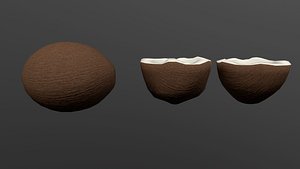 coconut coco 3D