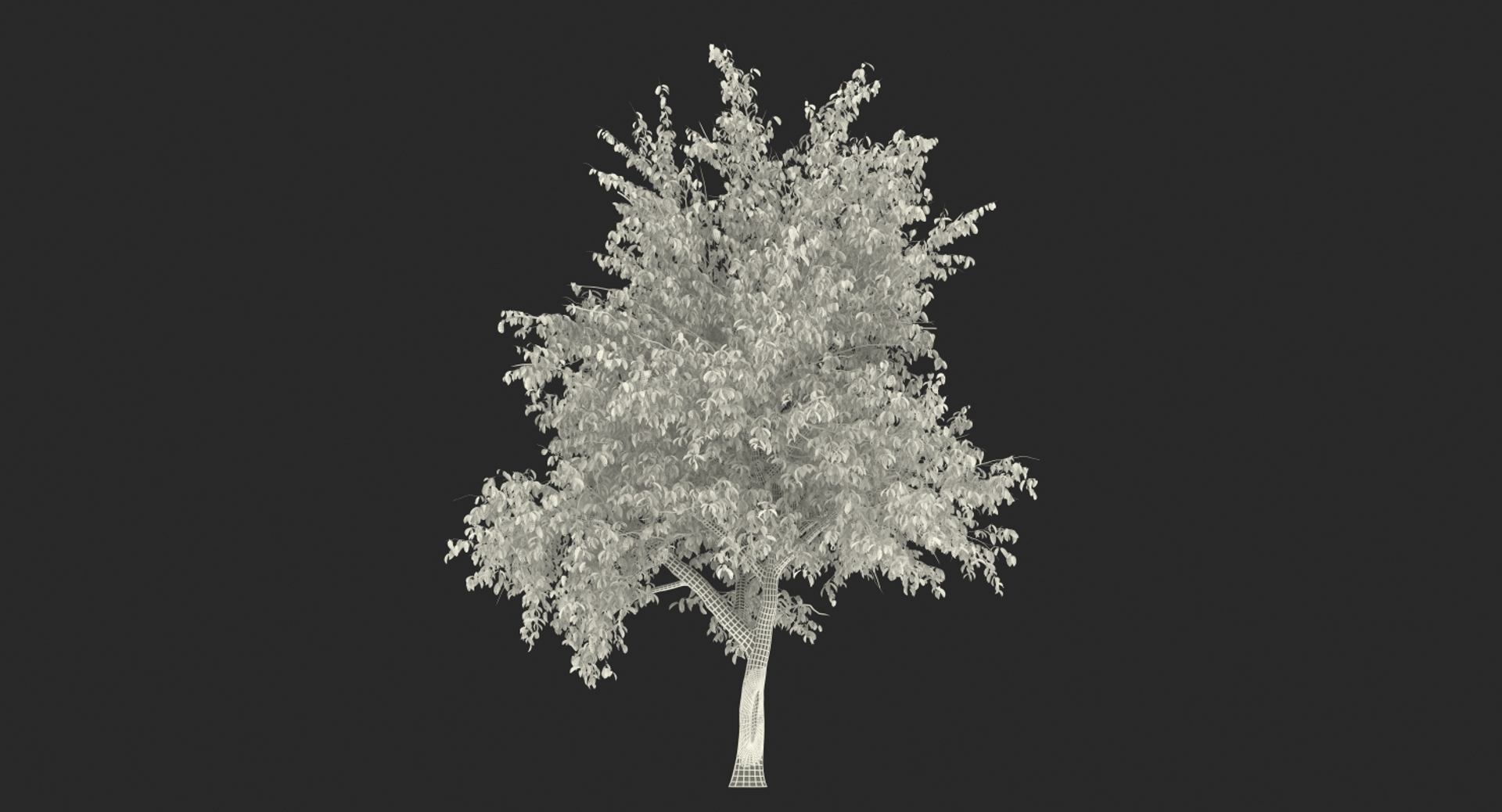 Autumn pear tree model - TurboSquid 1431959