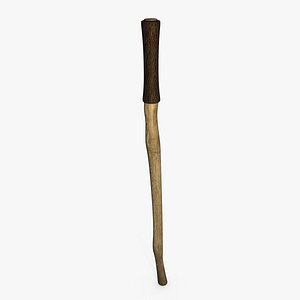 Hiking Stick