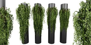 Collection plant vol 526 - blender