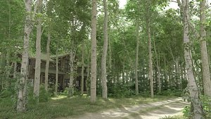 Poplar Forest Summer