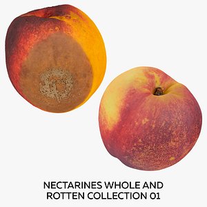 Nectarines Whole and Rotten Collection 01 - 2 models RAW Scans 3D model