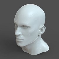 CAD-friendly Man Head Model M1P1D0V1head