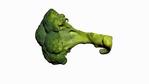 Half Broccoli 3D model