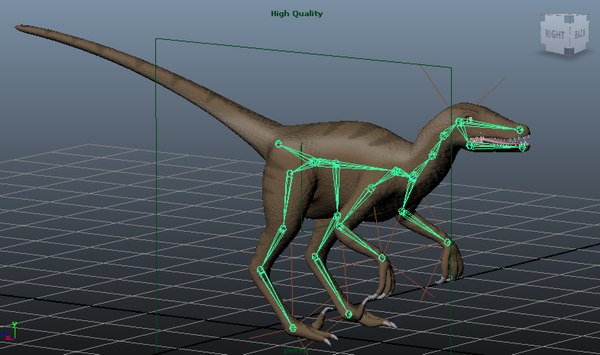 3d velociraptor rig skeleton