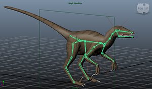 Velociraptor