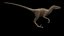 3d velociraptor rig skeleton