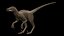 3d velociraptor rig skeleton
