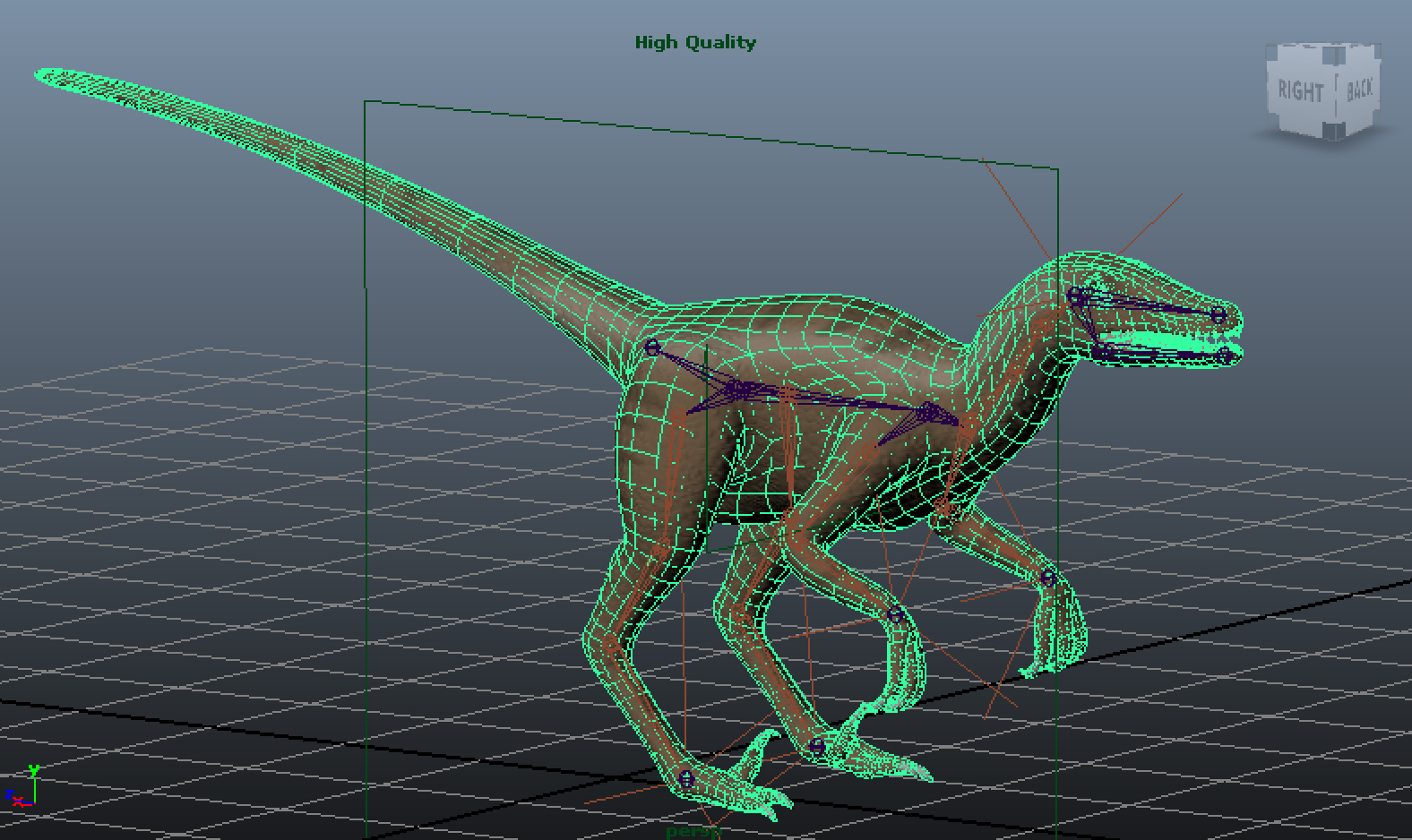 3d velociraptor rig skeleton