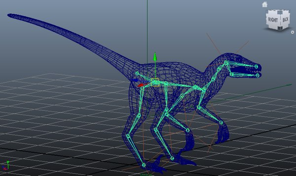 3d velociraptor rig skeleton