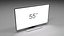 TV (55 Inch)