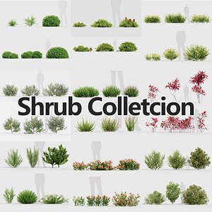 3D Shrub Plants Collection model