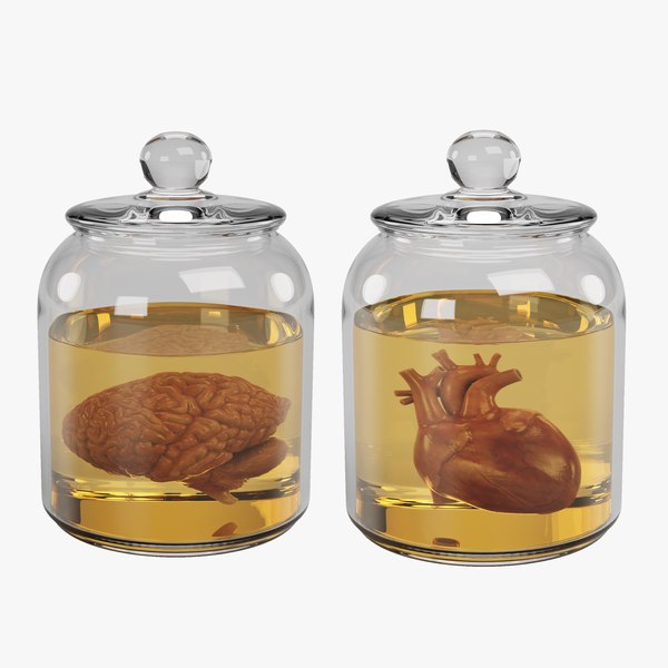 3D Organs in Jars