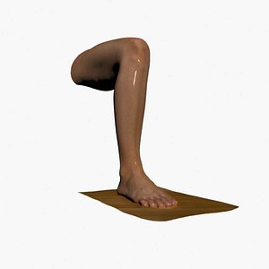 Human Leg 3D Scan High Quality